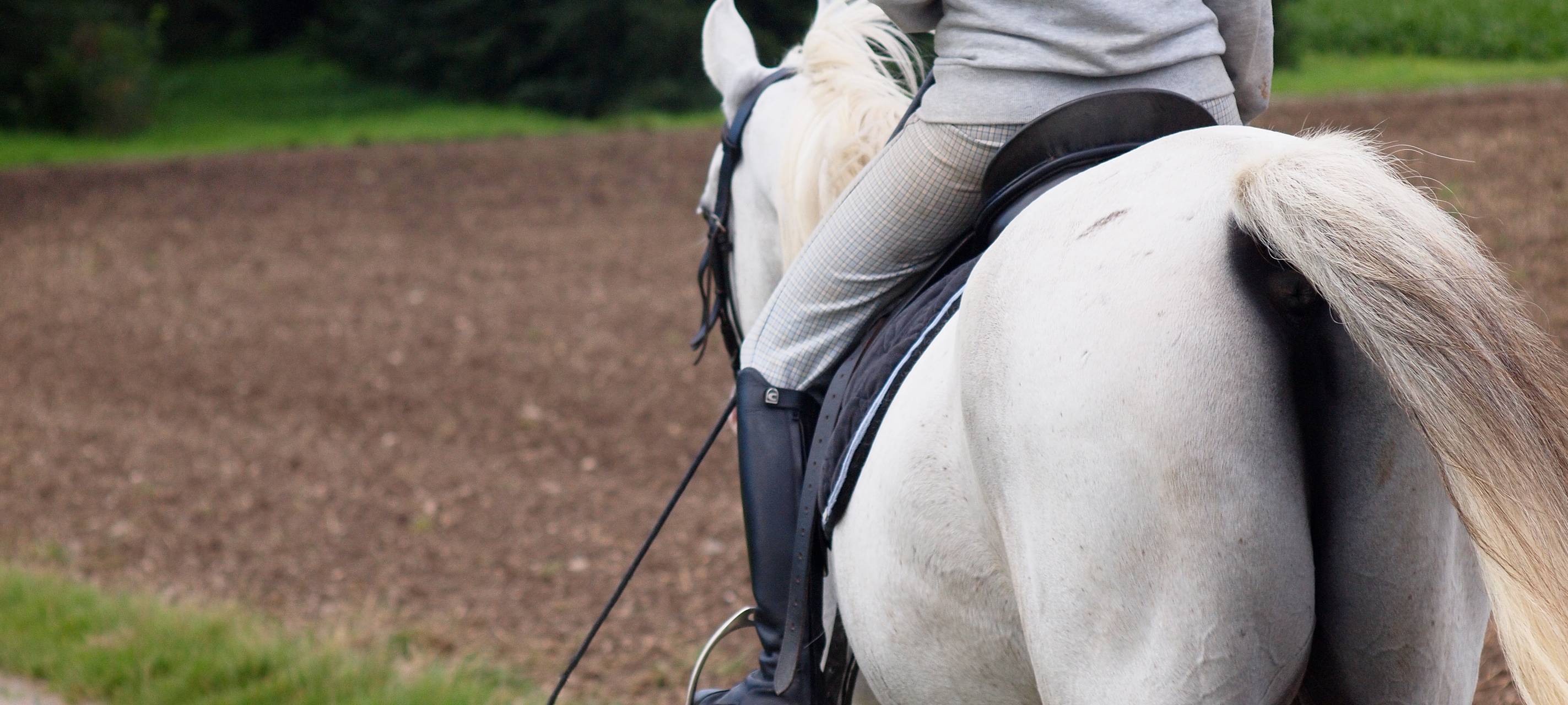 Märkischer Reitverein wird zu September aufgelöst