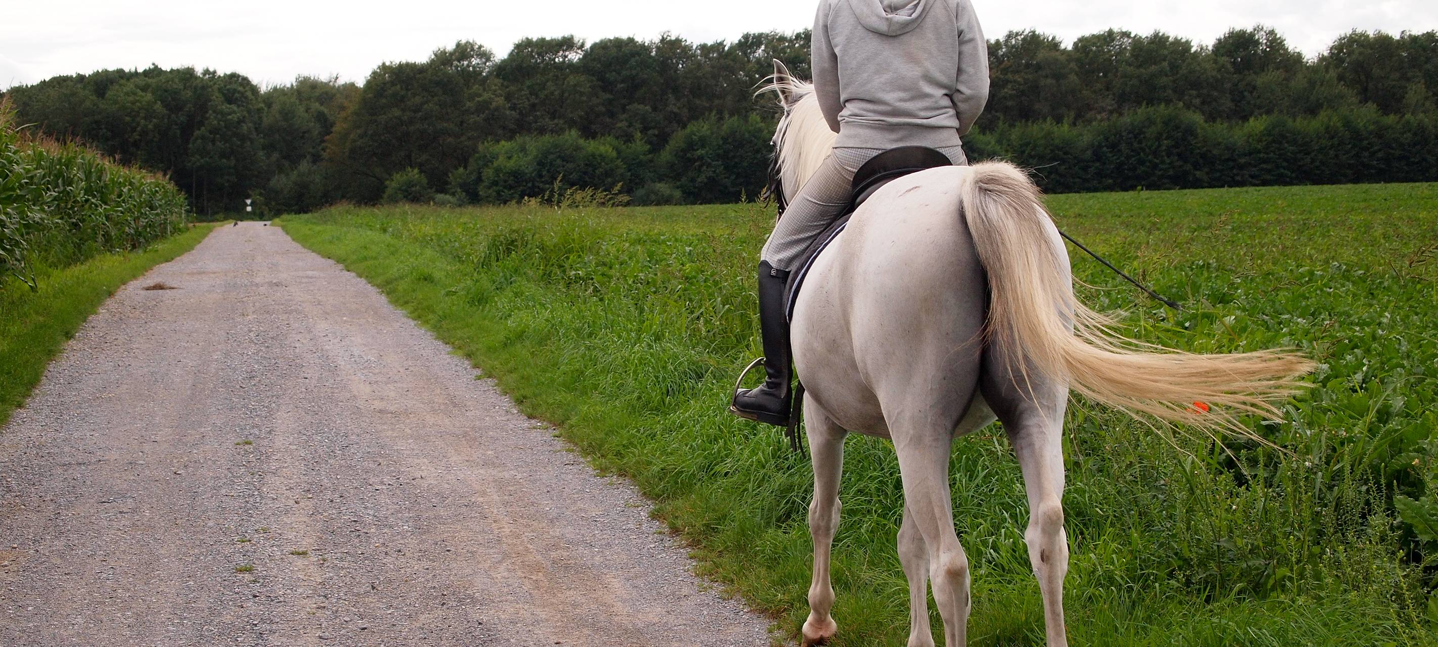 In Hamm ist Reiten im Trend