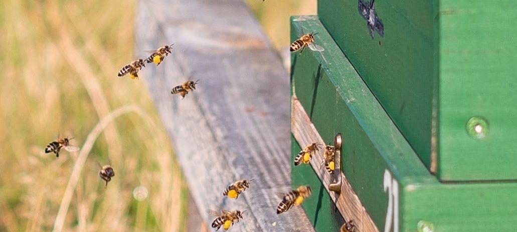 Quelle: Marion Domke