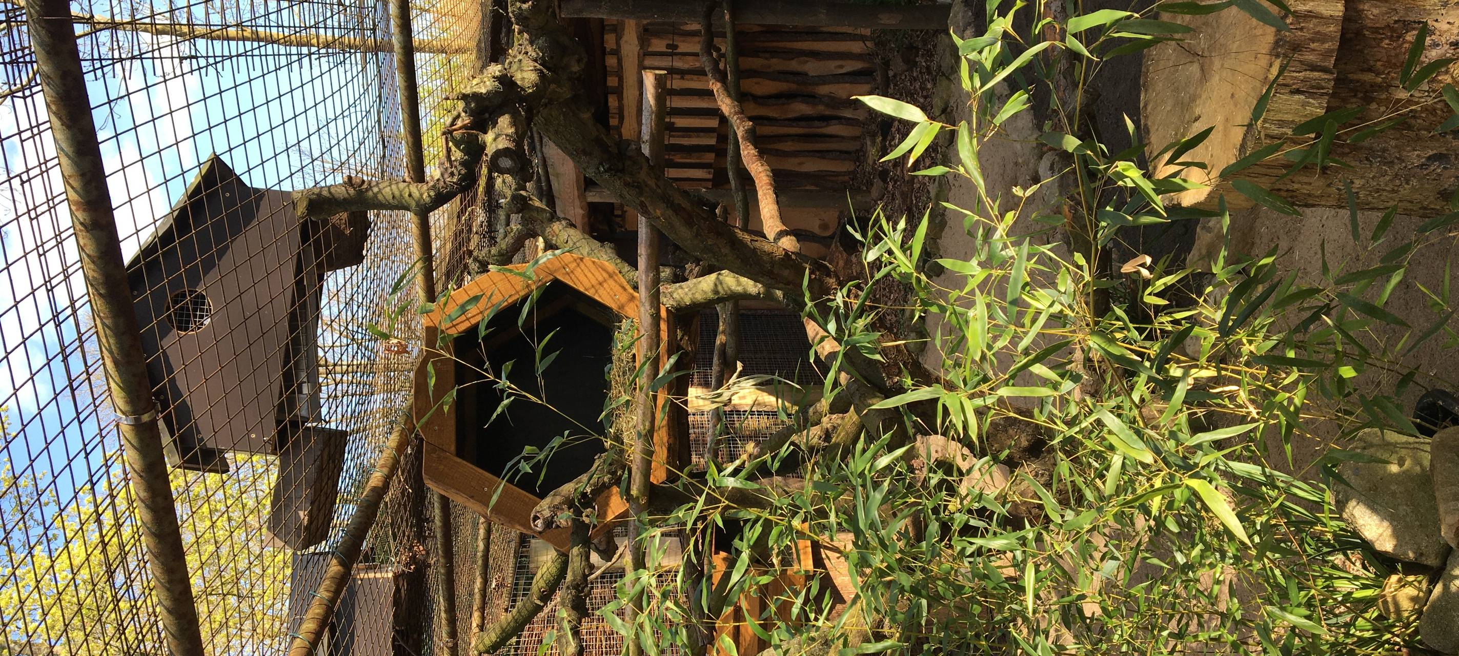 Neue Bewohner im Tierpark