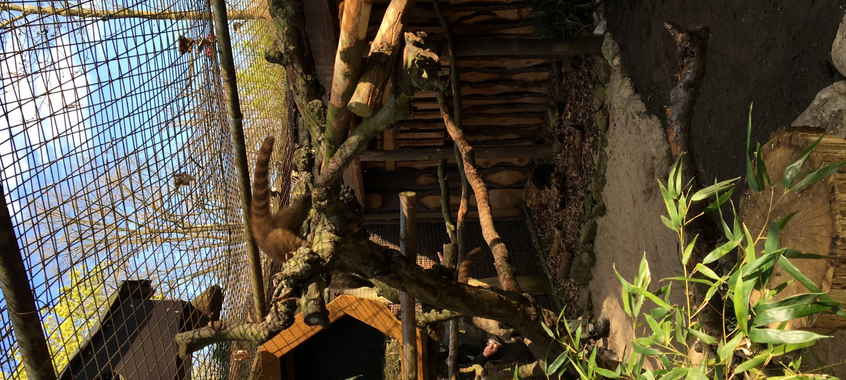 Neue Bewohner im Tierpark