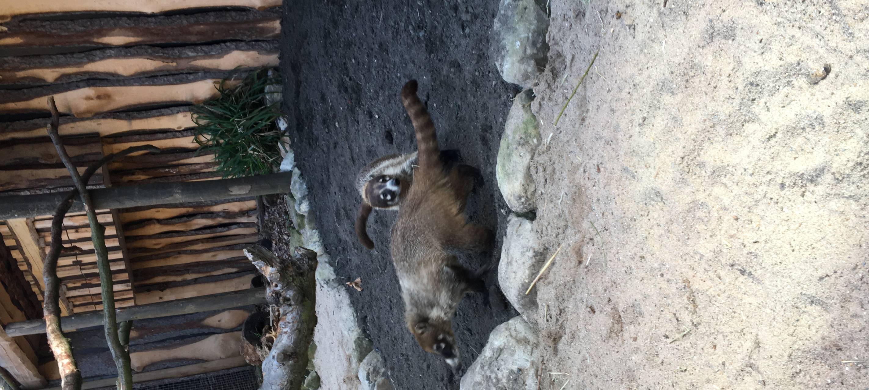 Neue Bewohner im Tierpark