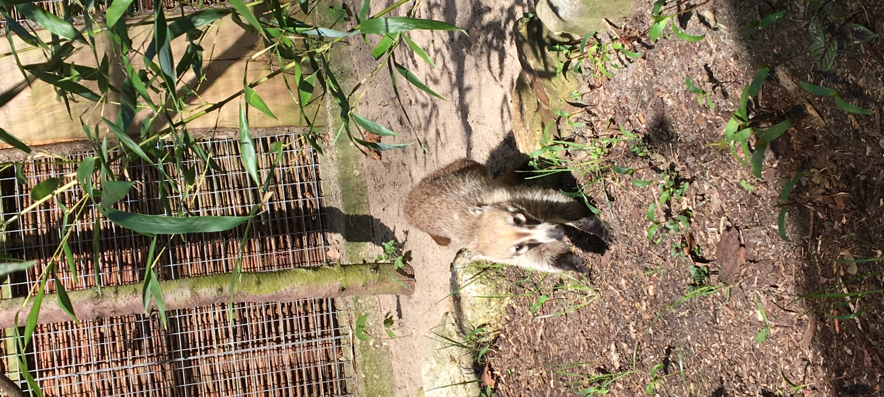 Neue Bewohner im Tierpark