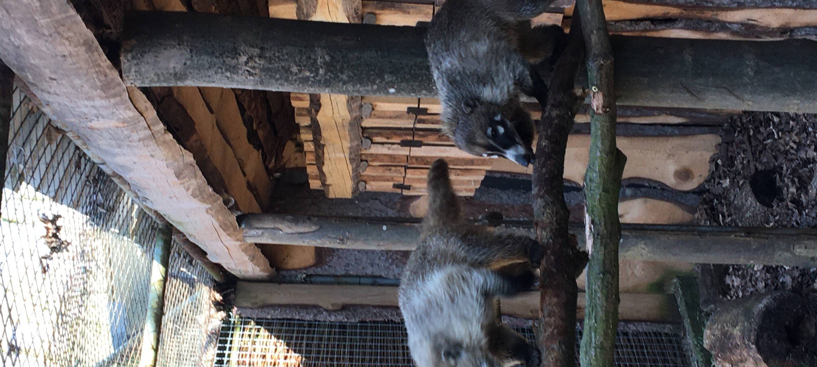 Neue Bewohner im Tierpark