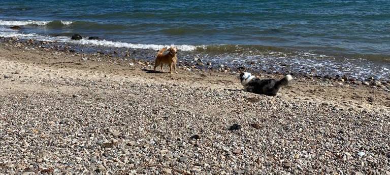 Essen gehen oder Möbel shoppen