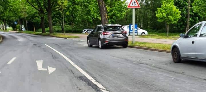 Eichhörnchen gerettet