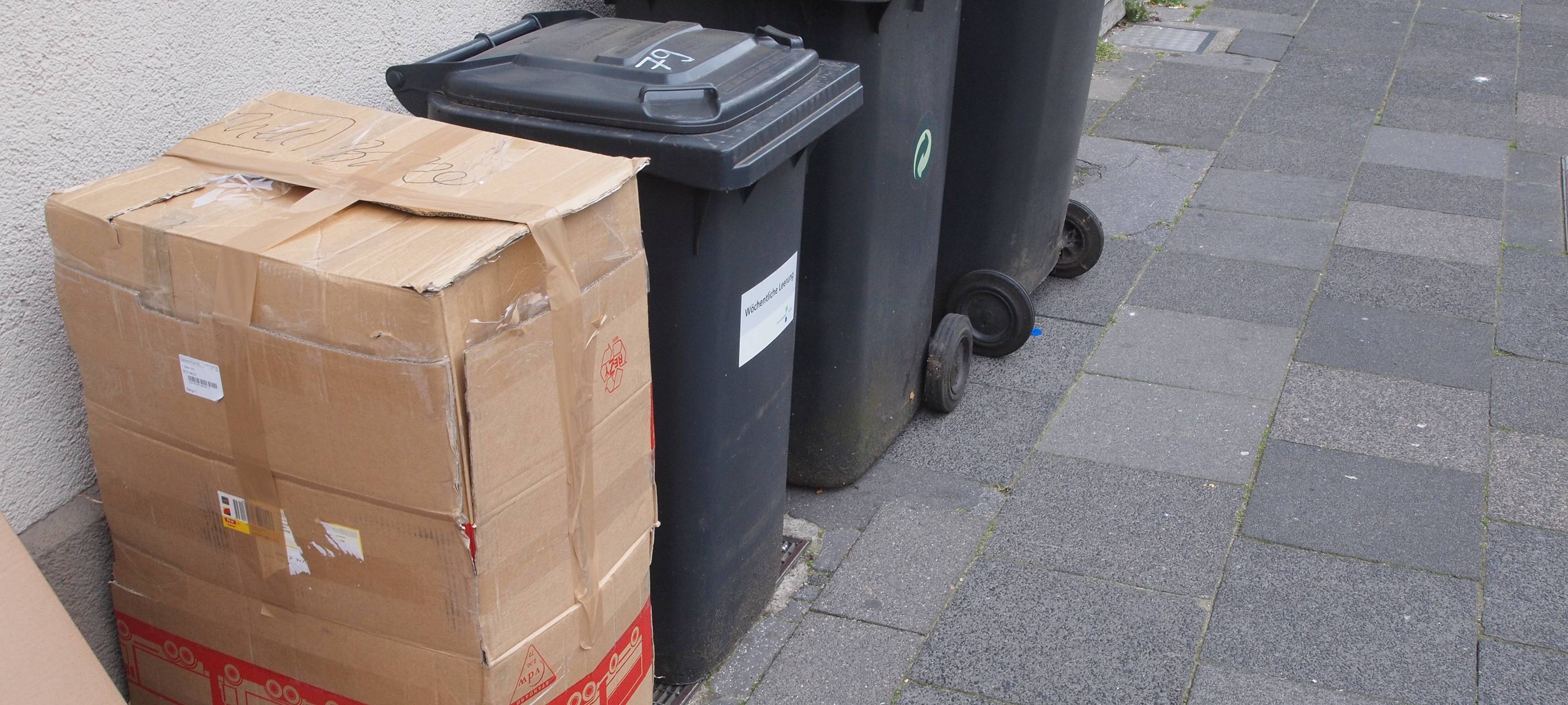 Müllbehälter vor Frost schützen