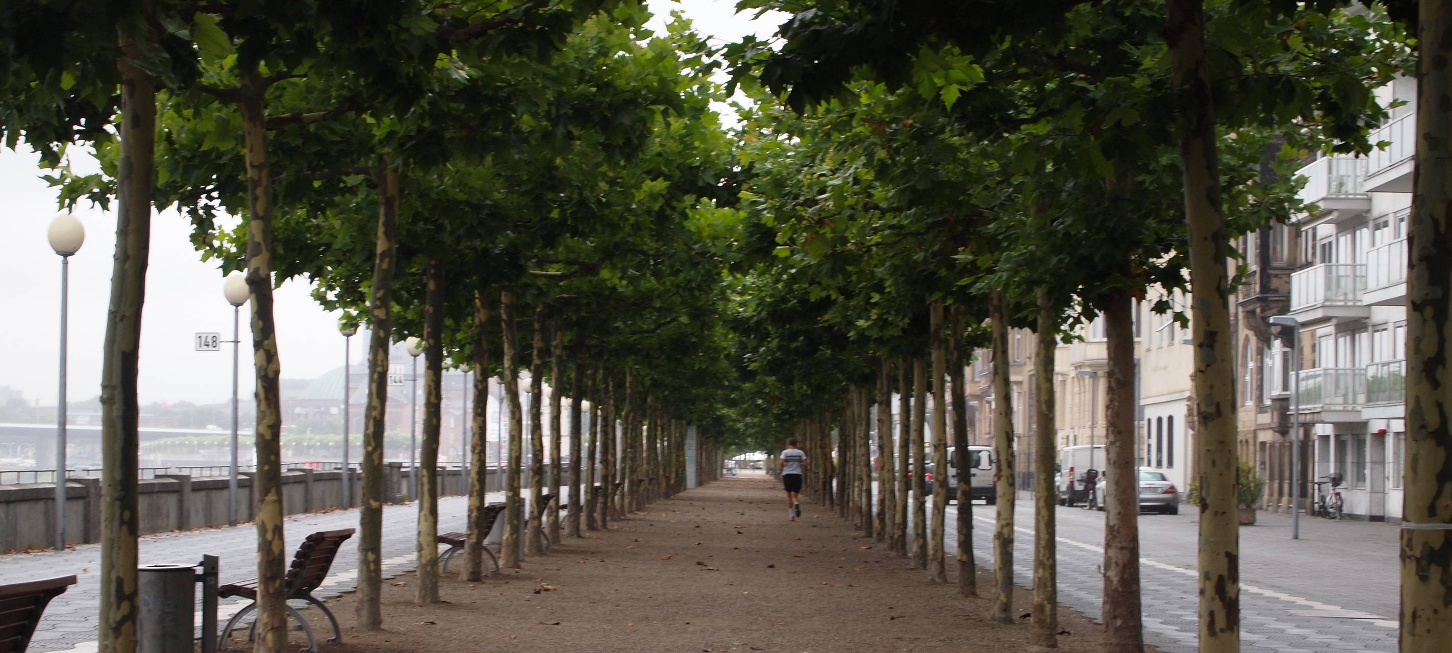 Unsere Zukunft Leben mit dem Klimawandel - Architektin