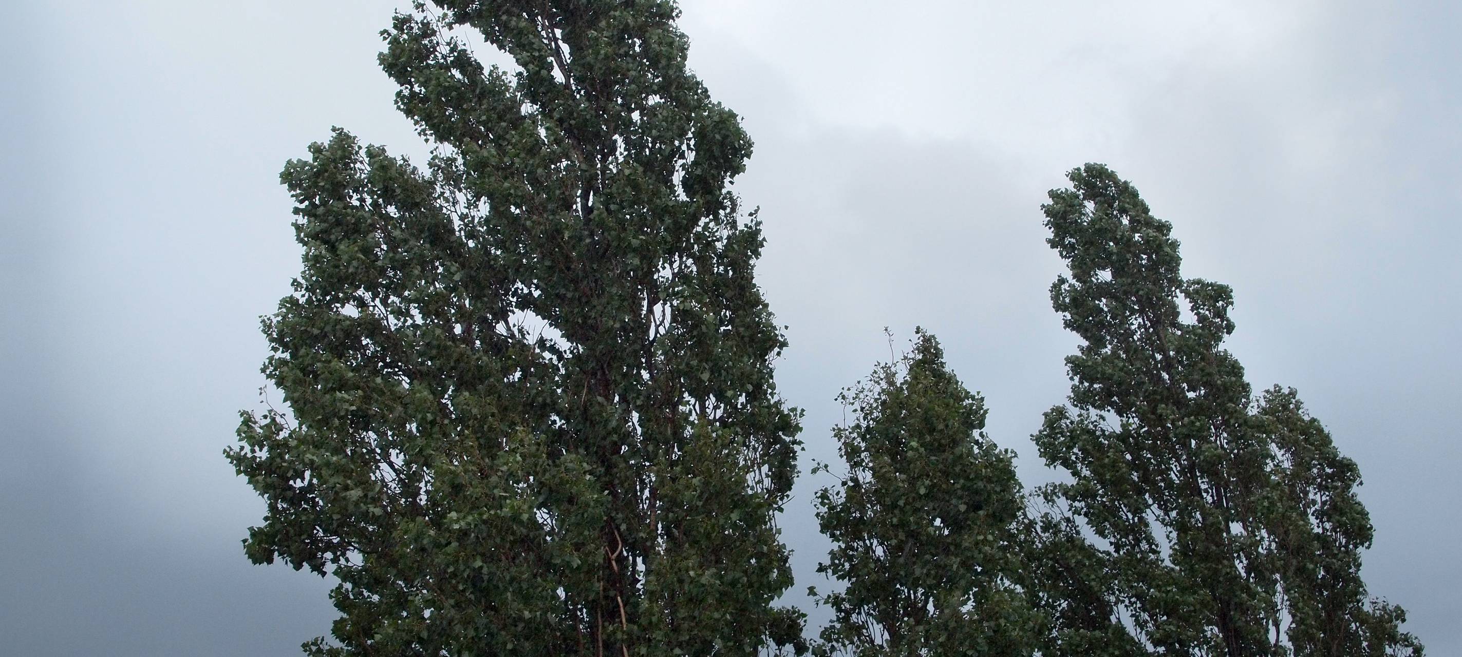 Kirsten hat sich zusammengerissen