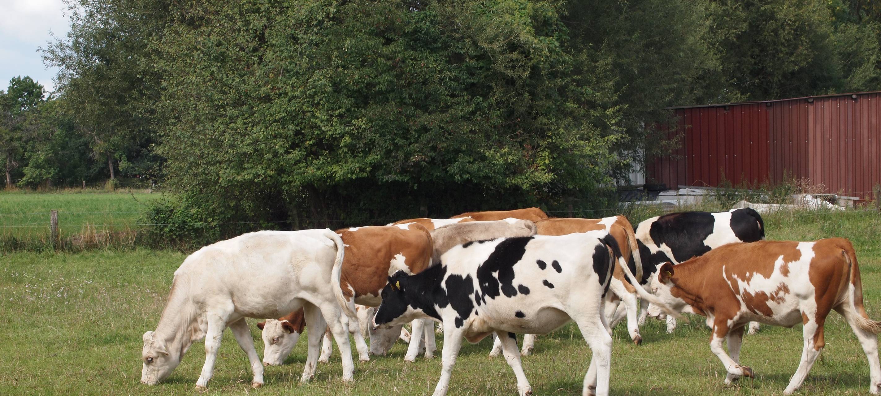 Drei Landwirte in Hamm erhalten den Umweltpreis