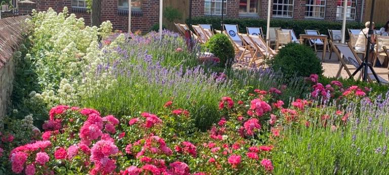 Landpartie und Streetfood Festival in Hamm: Veranstalter ziehen Bilanz