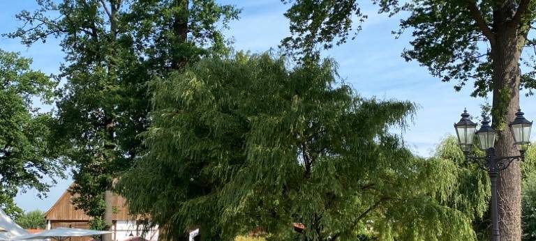 Landpartie und Streetfood Festival in Hamm: Veranstalter ziehen Bilanz