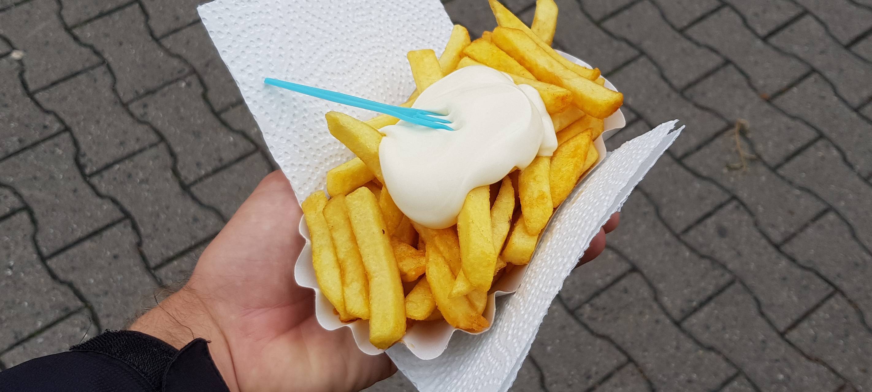 Eine Schale Pommes mit Mayo.