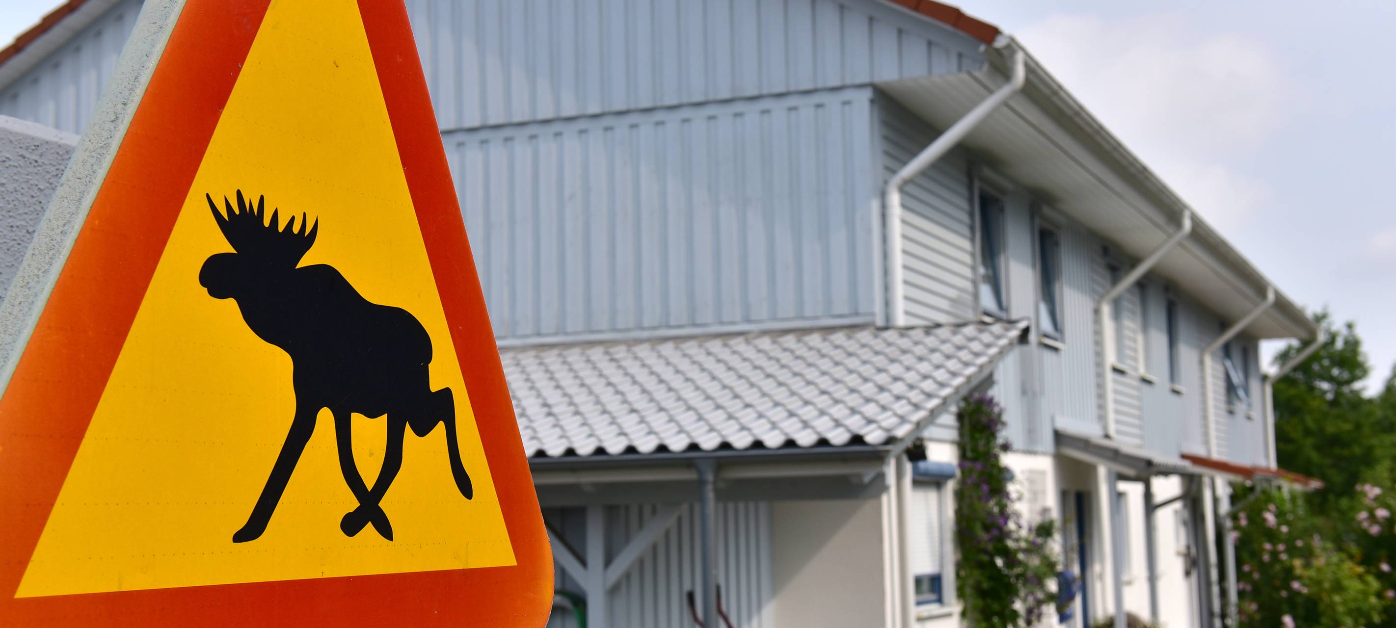 Urlaub in Hamm - Skandinavien