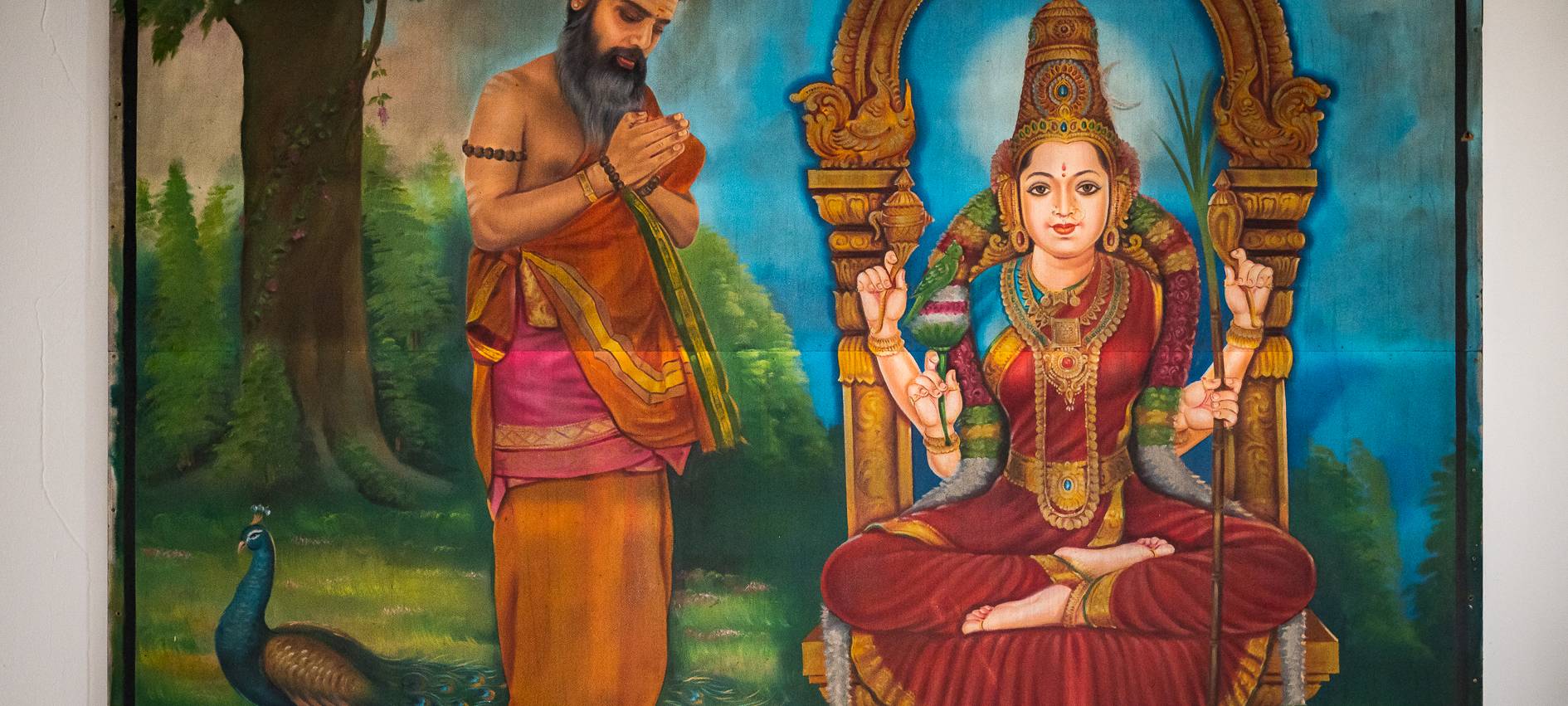 Urlaub in Hamm - Indien/Sri Lanka