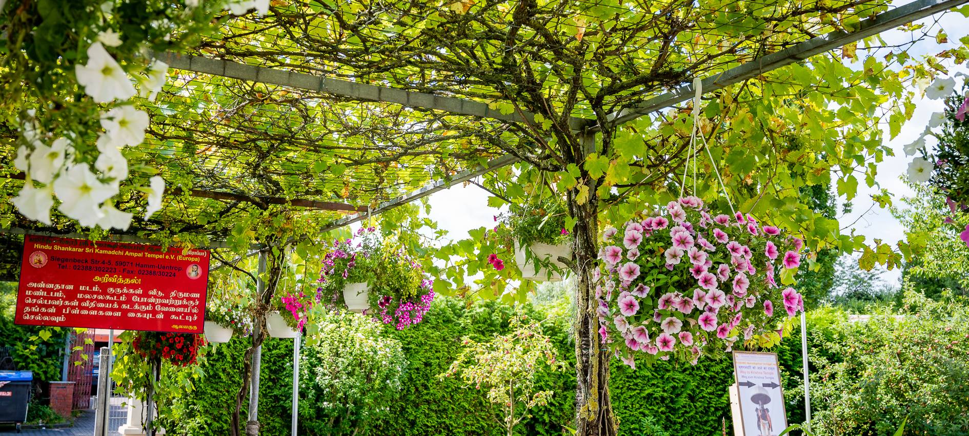 Urlaub in Hamm - Indien/Sri Lanka