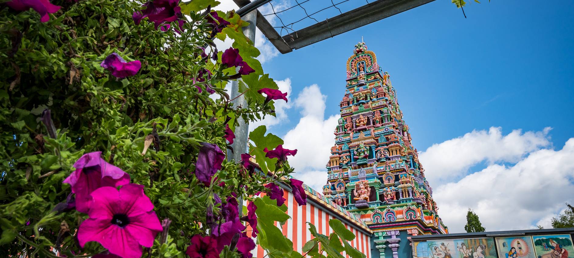 Urlaub in Hamm - Indien/Sri Lanka
