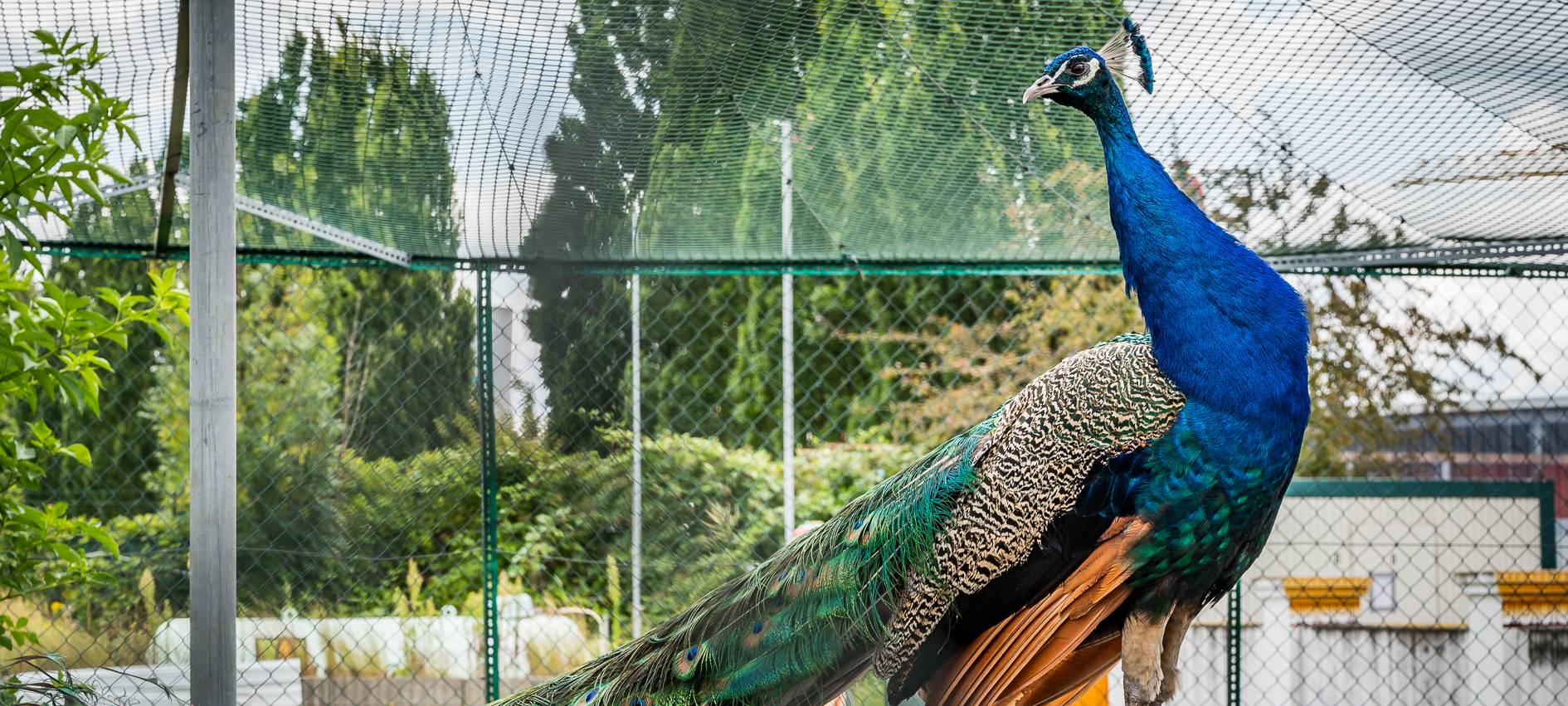 Urlaub in Hamm - Indien/Sri Lanka