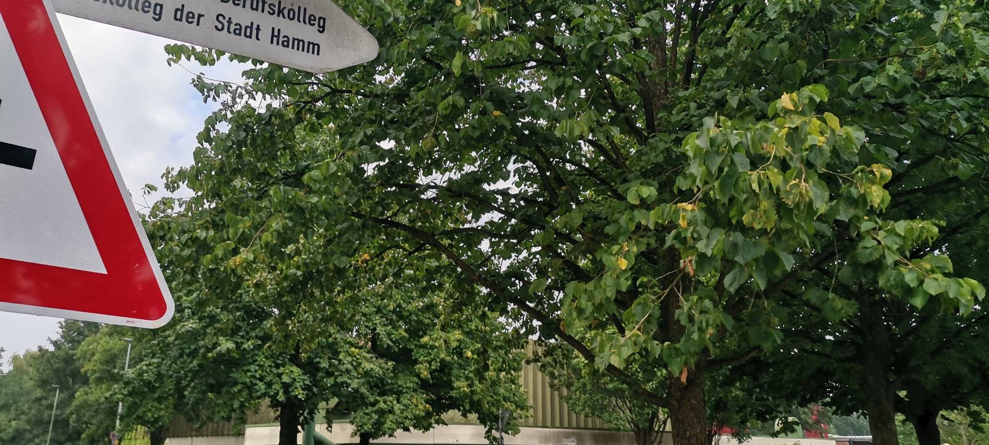 Schüler vor dem Elisabeth-Lüders-Berufskolleg.