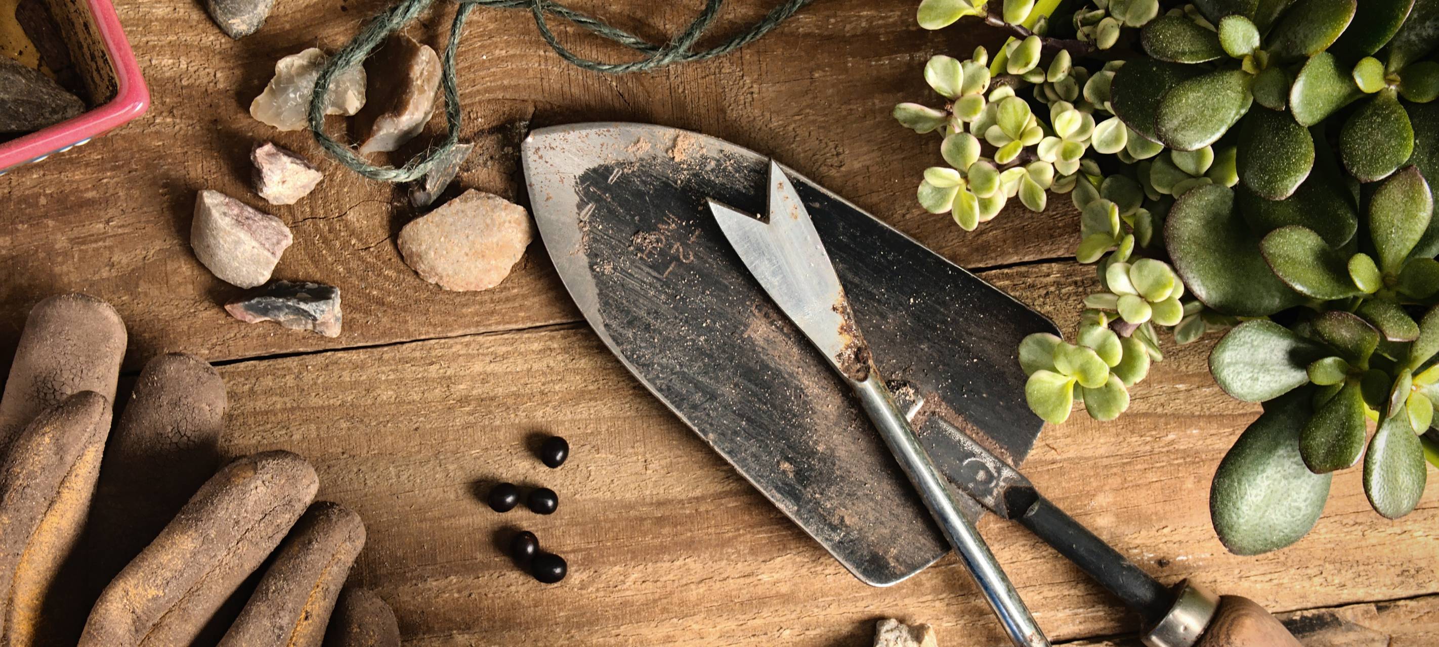 Gemüse & Co. aus dem eigenen Garten