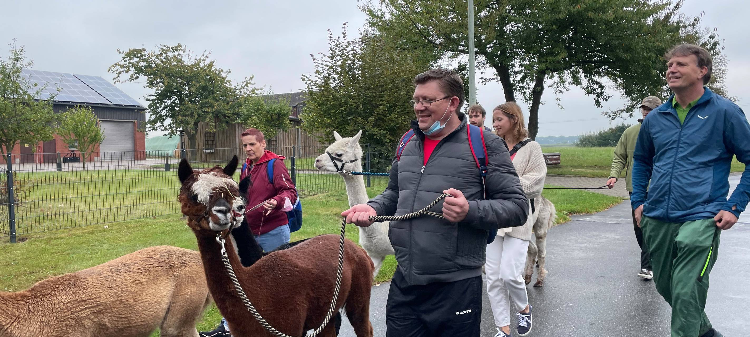 Alpakawanderung für Suchtkranke.