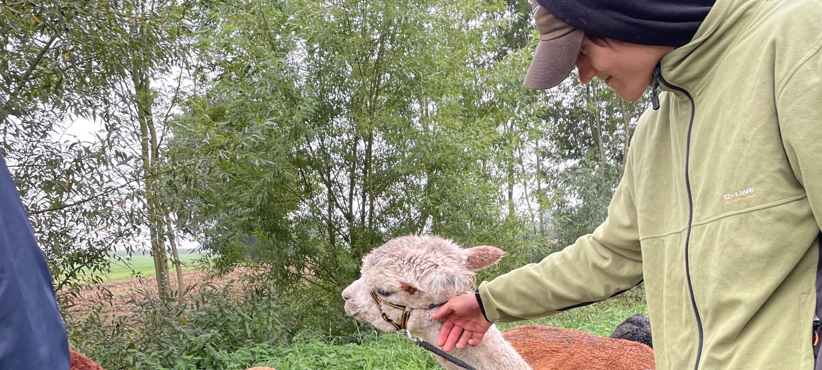 Alpakas helfen Suchtkranken in Hamm beim Entzug