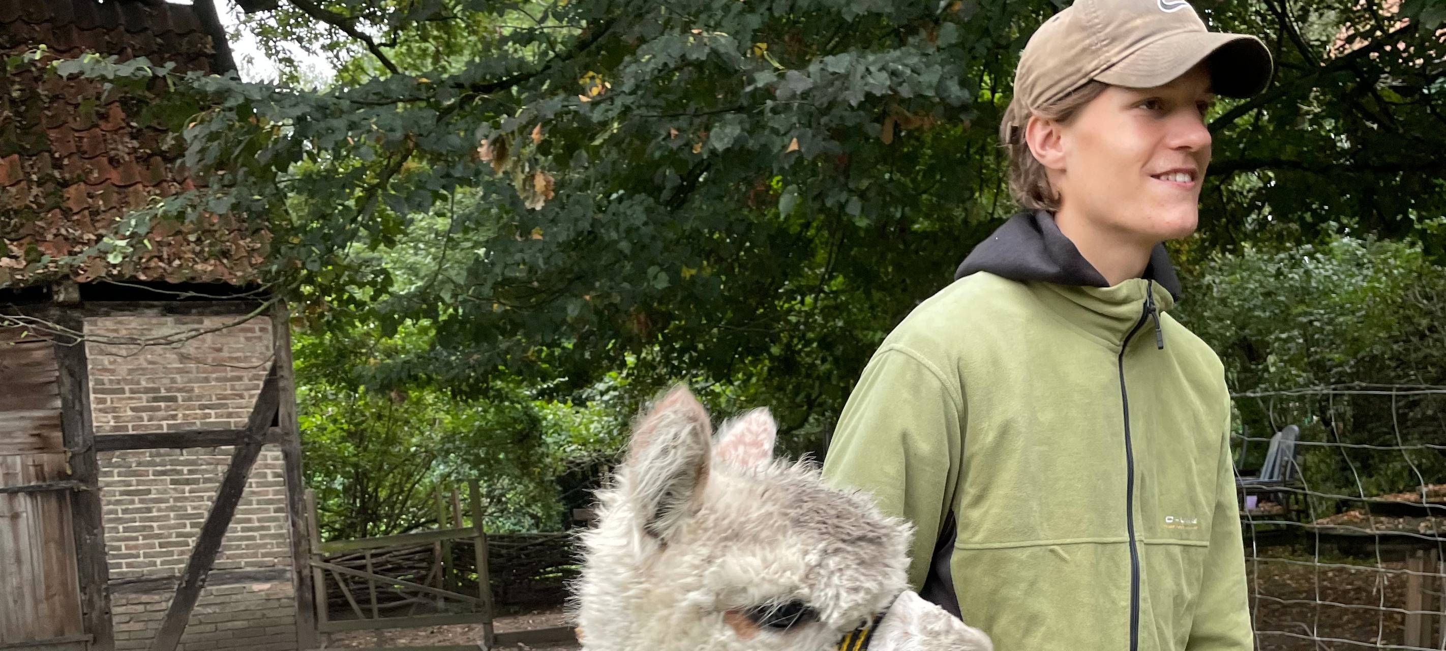 Alpakas helfen Suchtkranken in Hamm beim Entzug