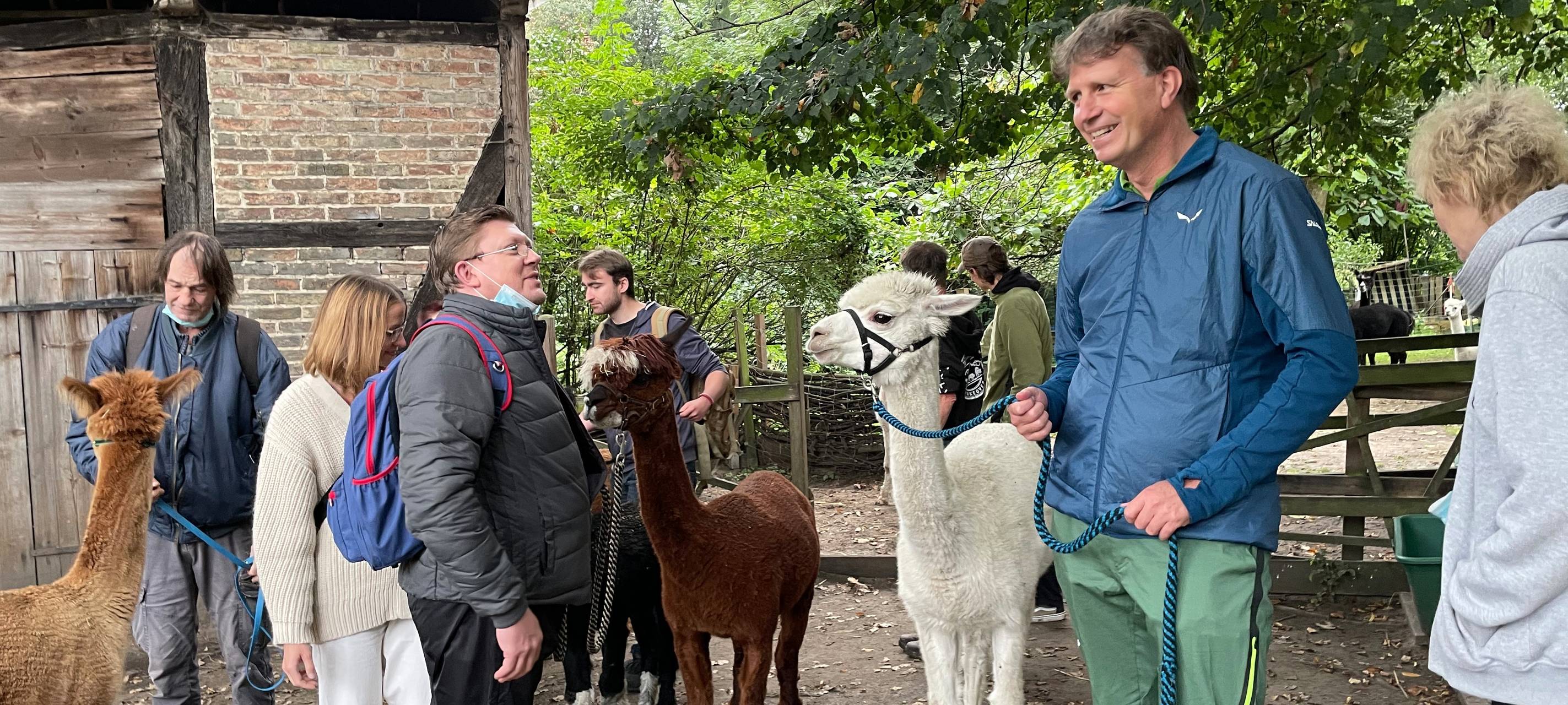 Alpakas helfen Suchtkranken in Hamm beim Entzug