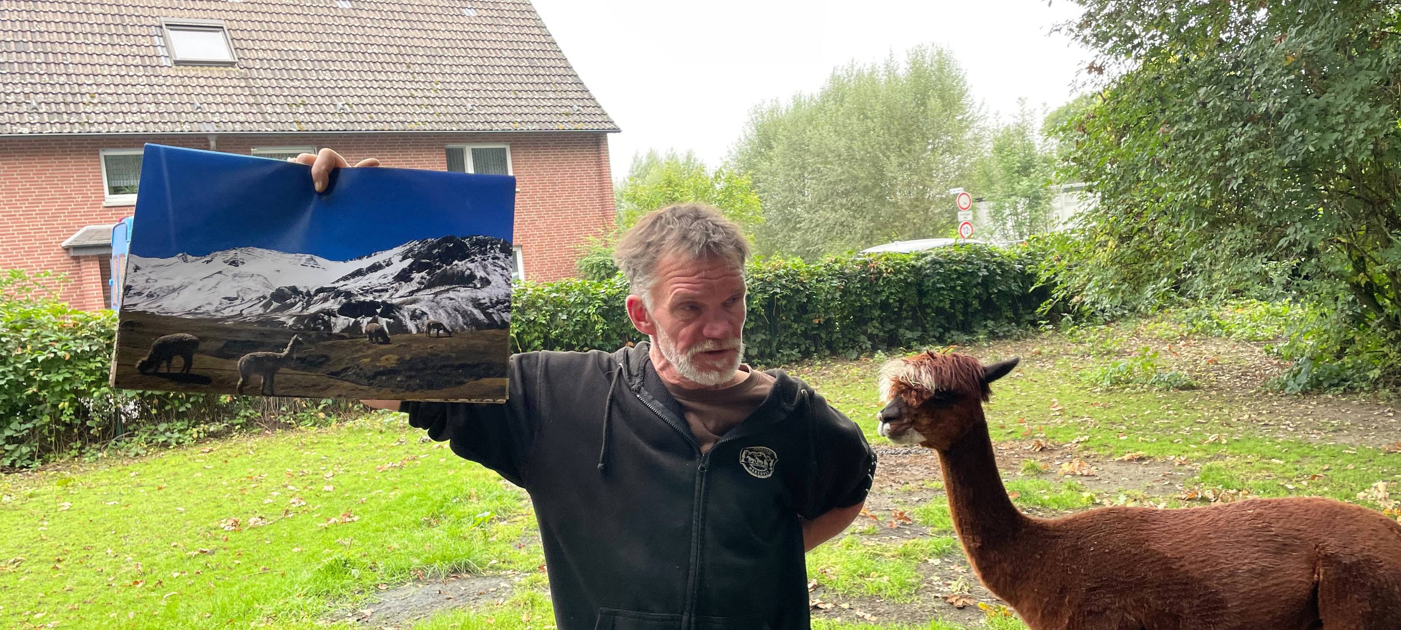 Alpakas helfen Suchtkranken in Hamm beim Entzug