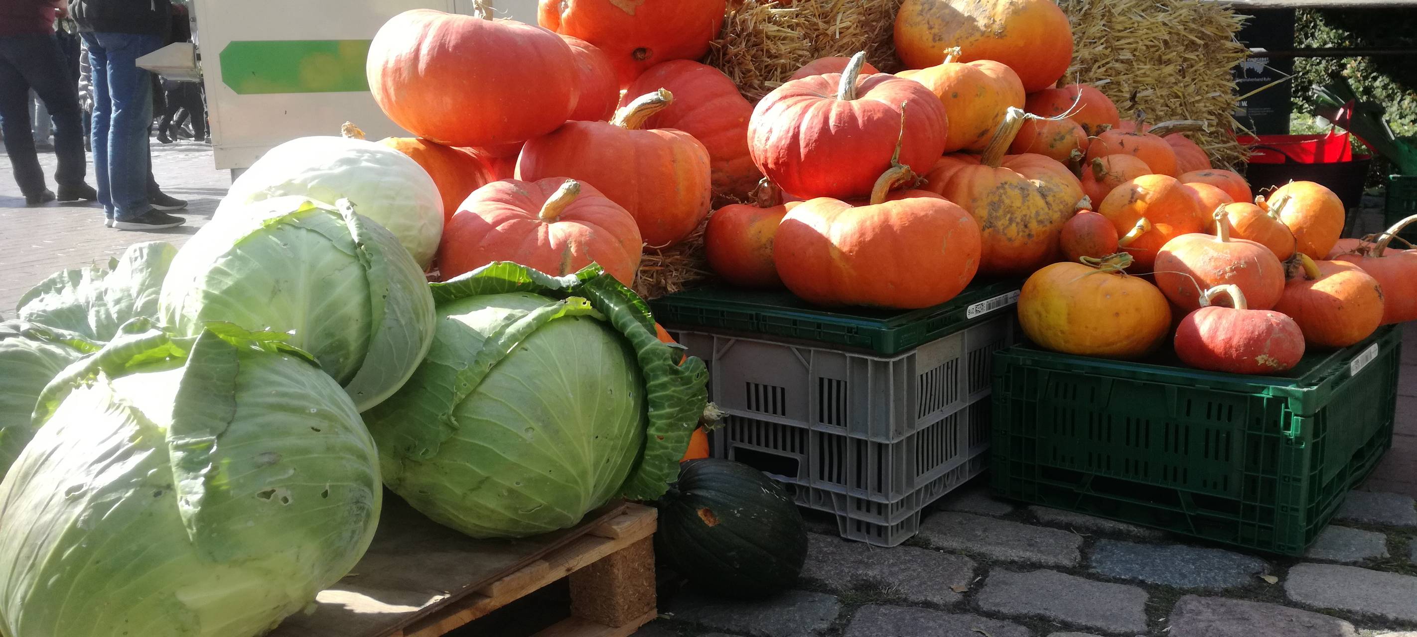 Herbstmarkt in Hamm: Maxipark ohne Maske