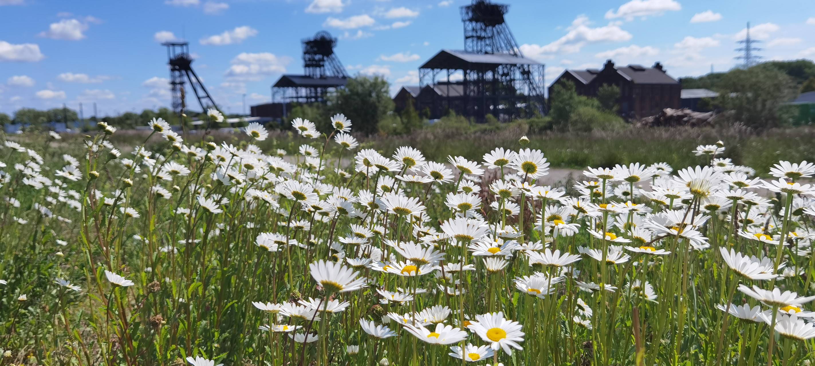 Viele Events am Wochenende in Hamm