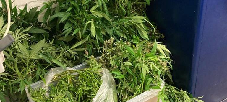 Große Polizei-Kontrolle in Hamm: Drogenfunde und Festnahmen