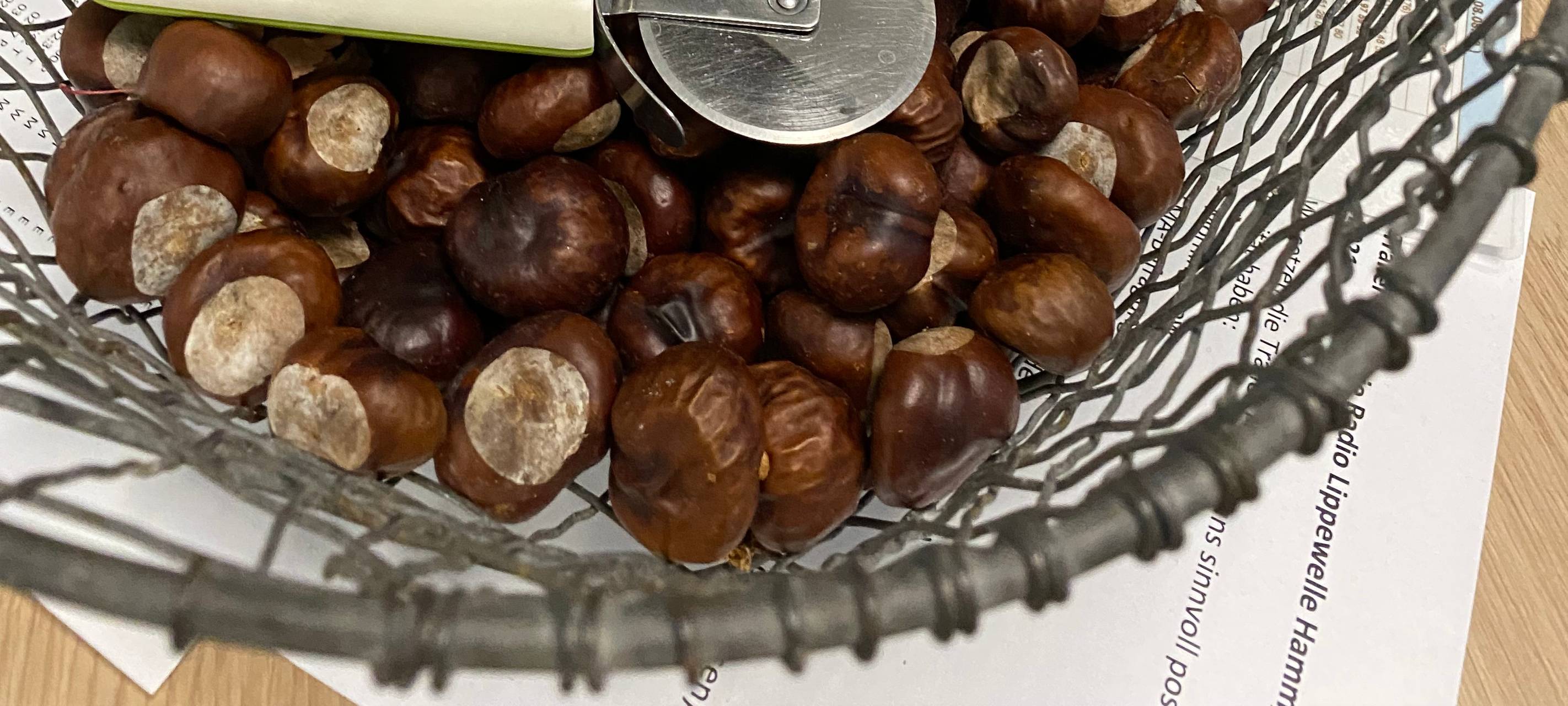 Hamm bastelt Männchen aus Kastanien