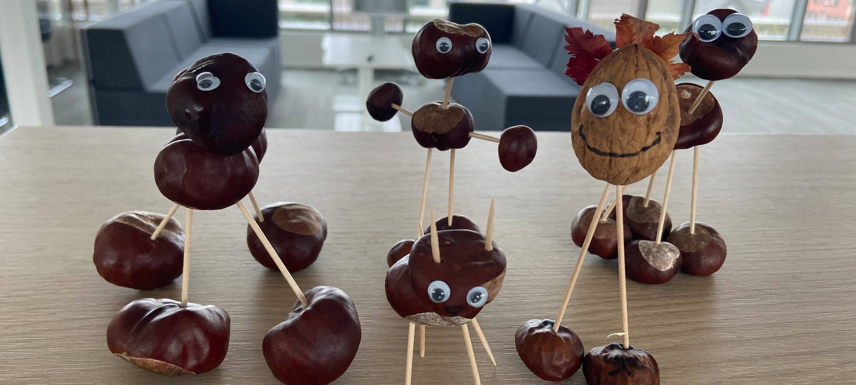 Hamm bastelt Männchen aus Kastanien