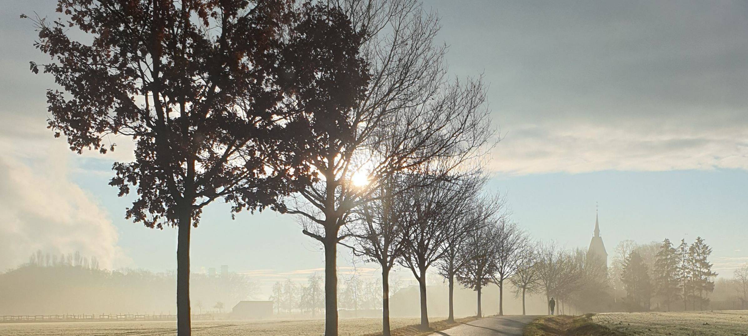 Kahle Bäume am Rand einer nebligen Straße. Durch die Wolken am Himmel scheint die Sonne.