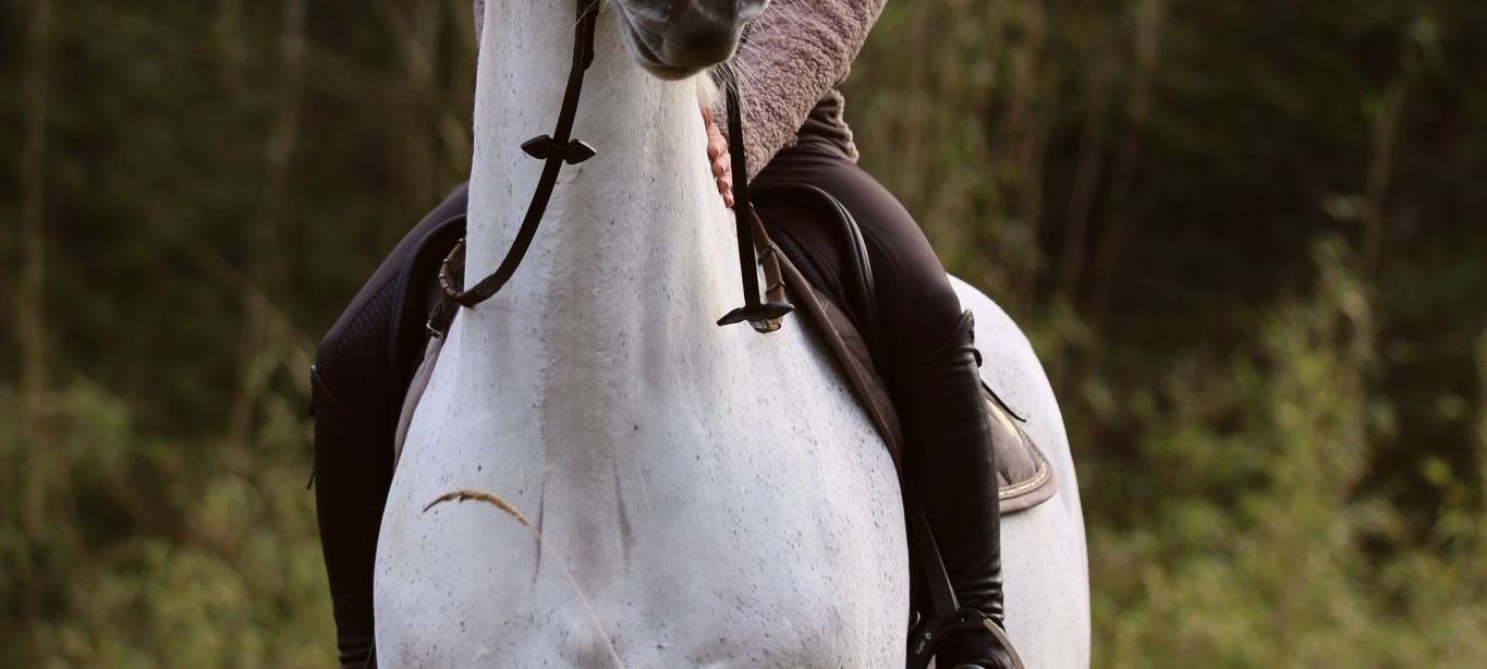 Wir stellen euch Petfluencer aus Hamm vor