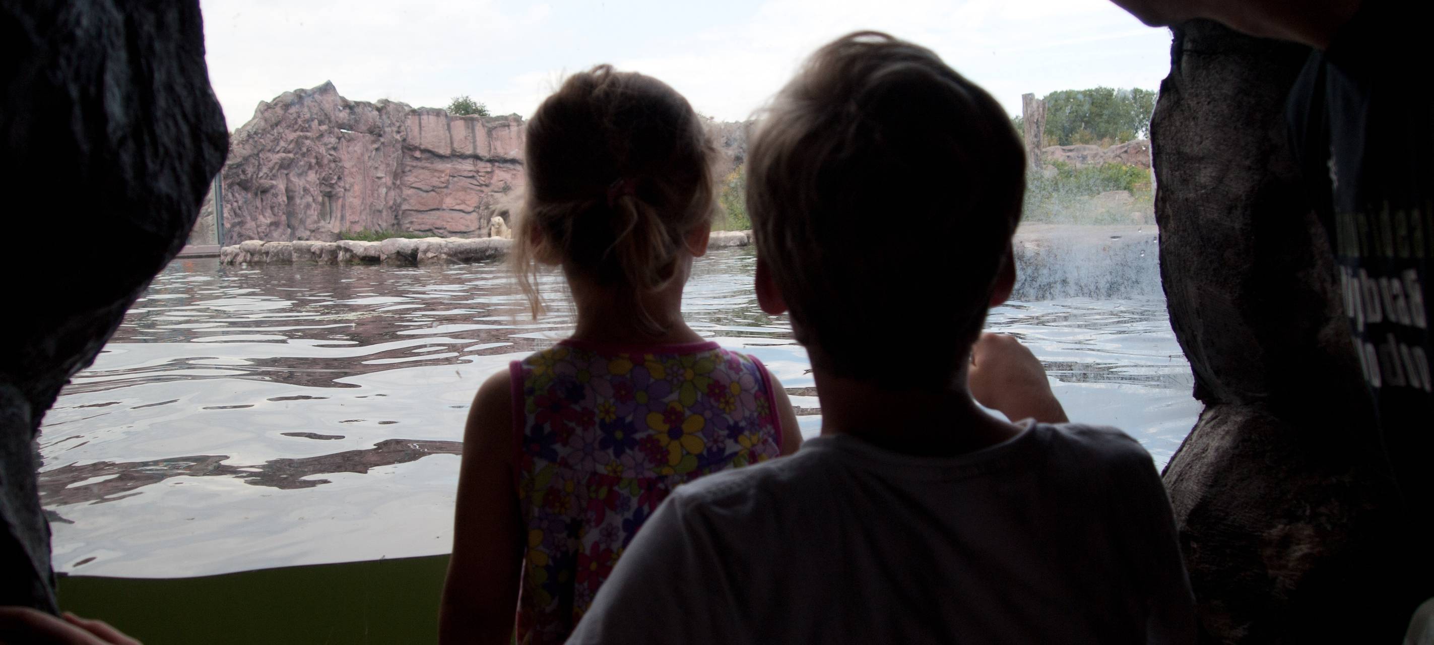 Die größten Gefahren für das Kinderwohl in der Pandemie