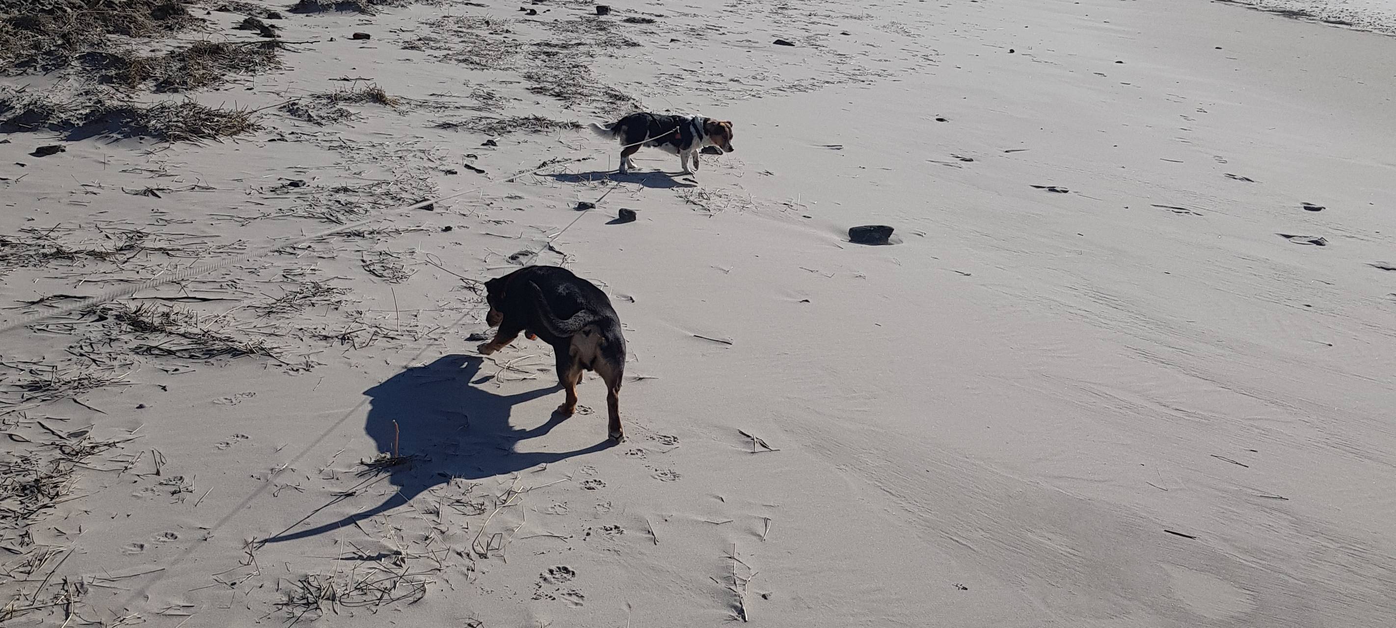 Haus am Meer auf Wangerooge kommt gut durch den Sturm