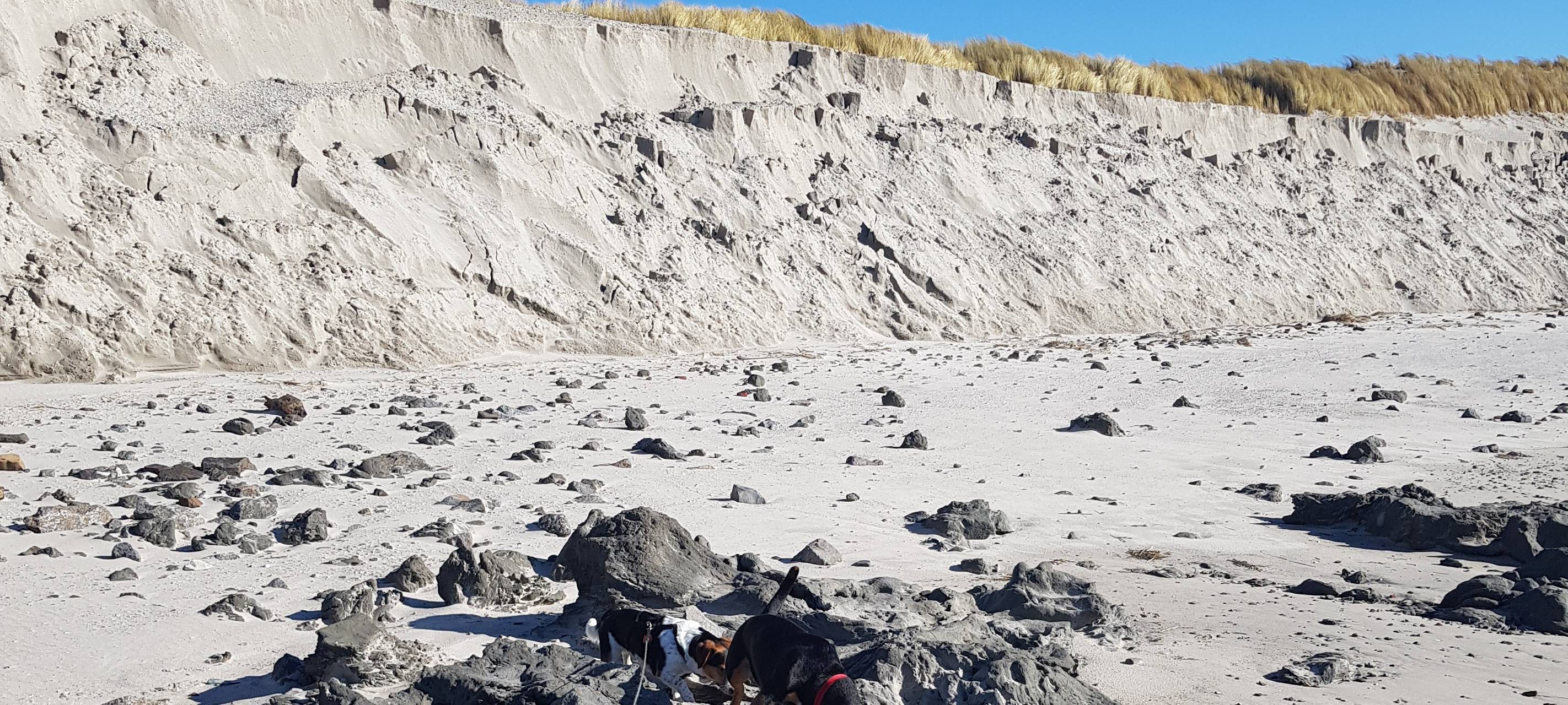 Haus am Meer auf Wangerooge kommt gut durch den Sturm
