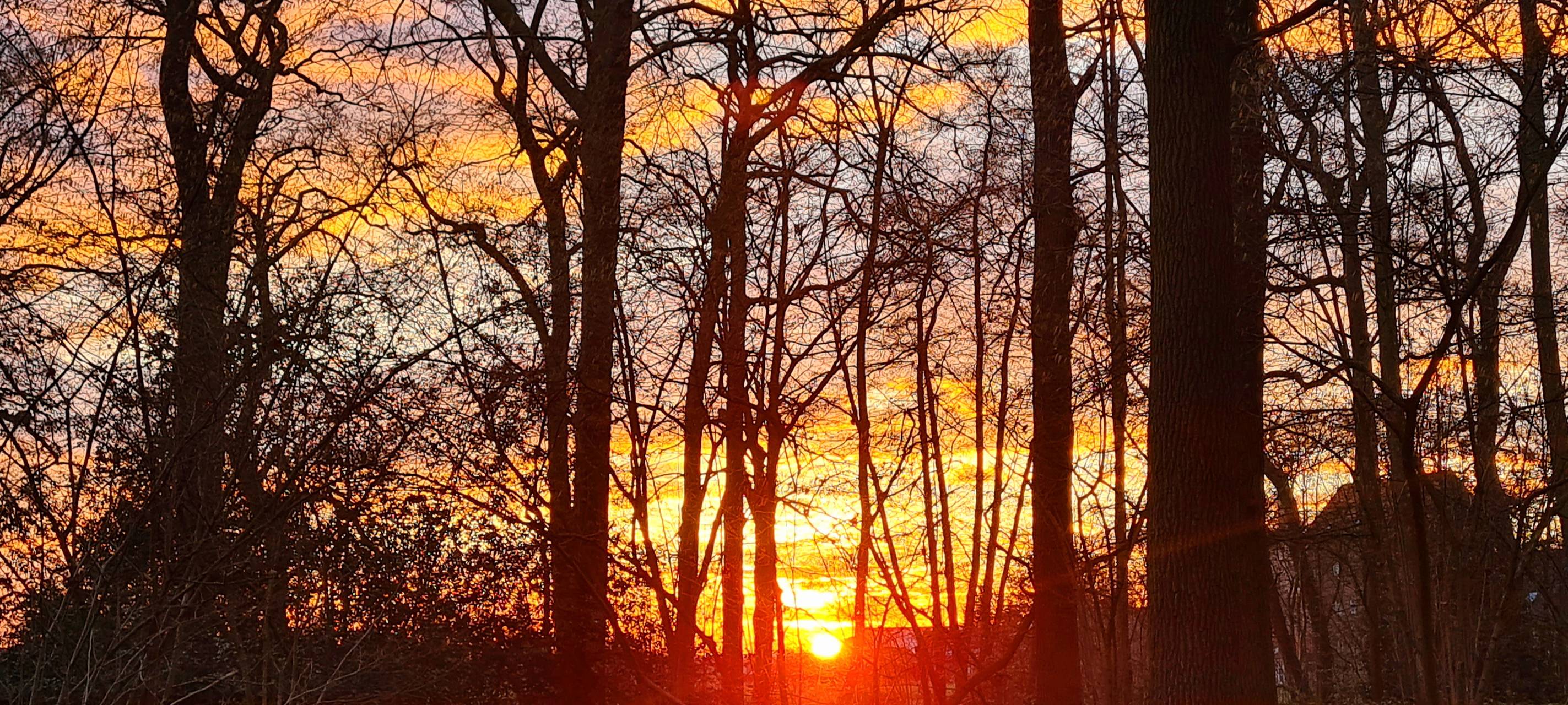 Das sind die schönsten Fotos aus Hamm im Februar