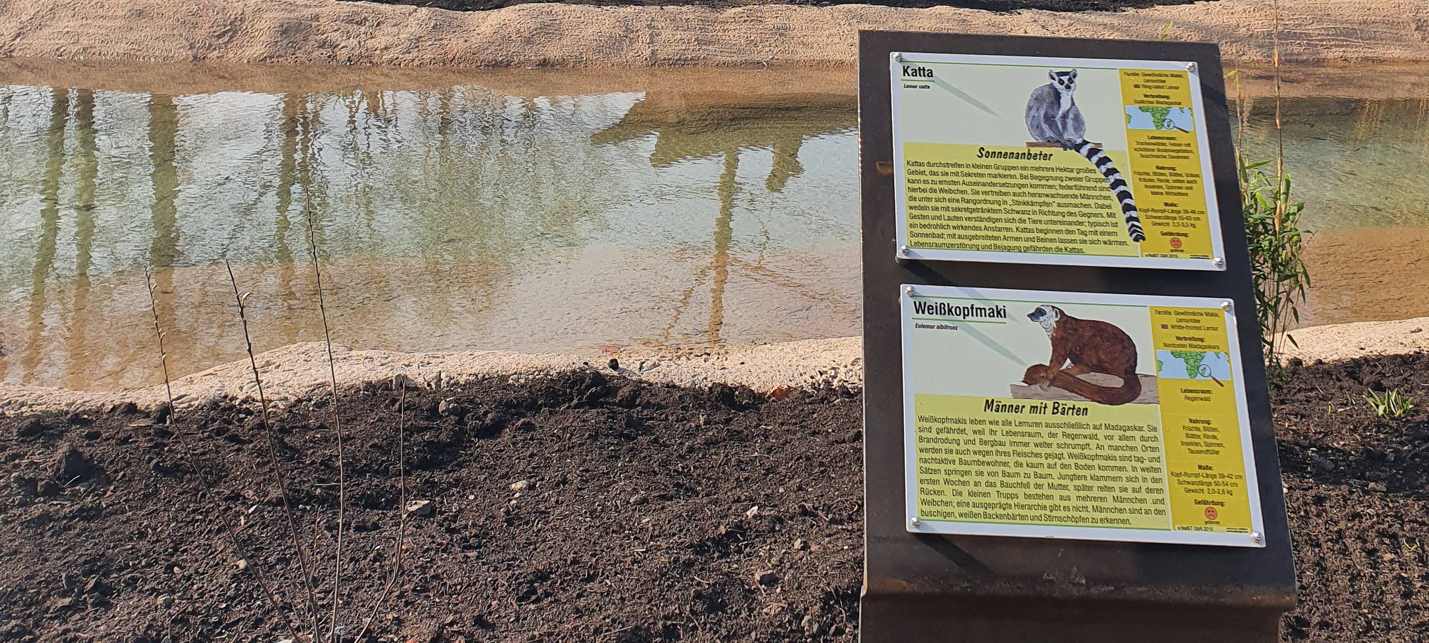 Neue Lemurenanlage für den Tierpark Hamm