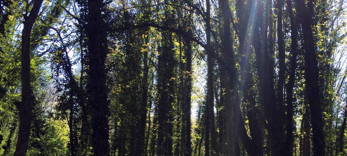 Bauern und Städte hoffen auf Regen