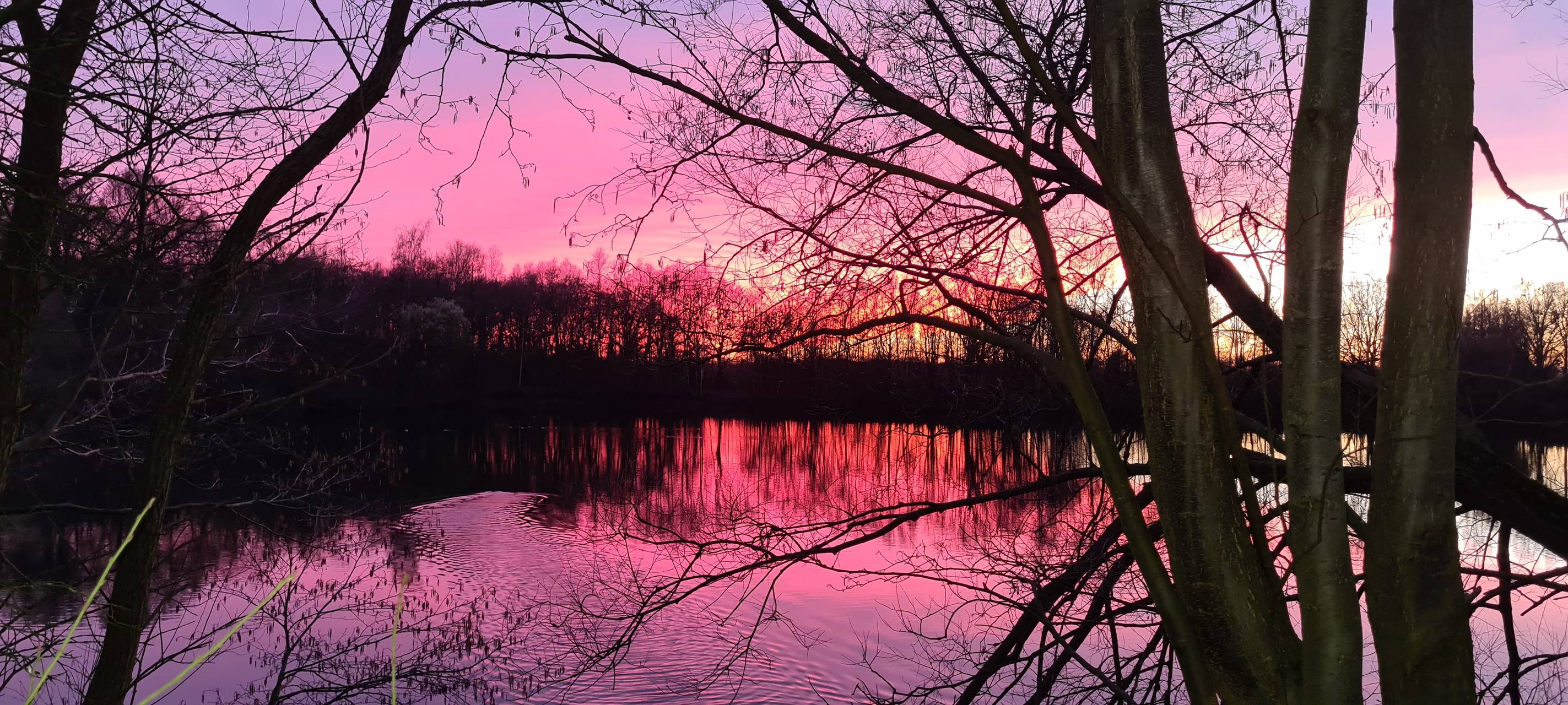 Ein Sonnenuntergang in Uentrop am See.
