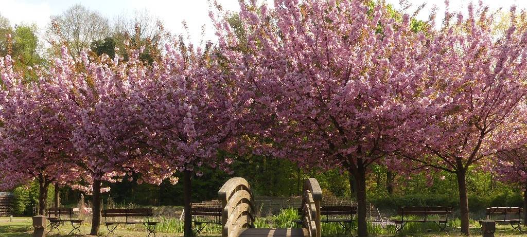 So schön ist Hamm - die besten Fotos aus unserer Stadt in 2022!