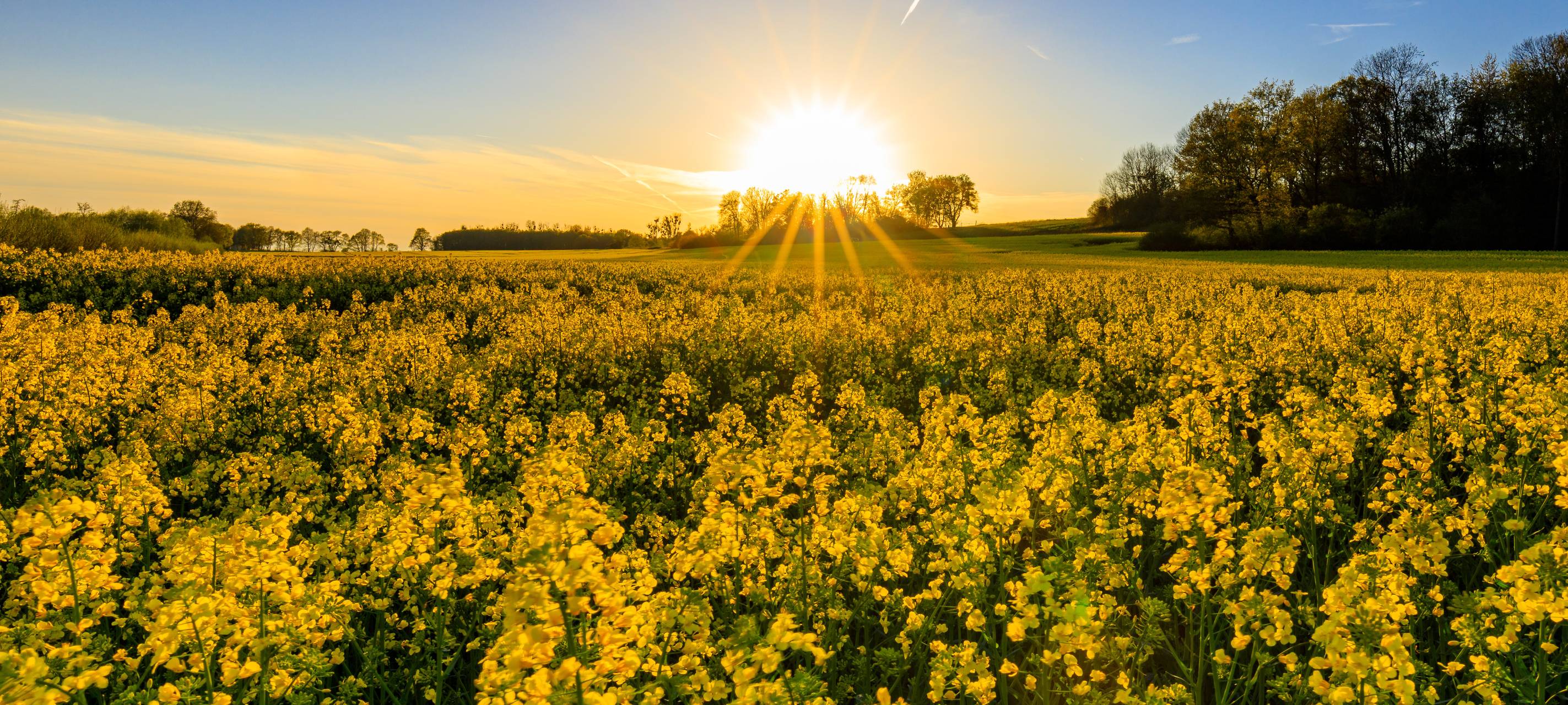 So schön ist Hamm - die besten Fotos aus unserer Stadt in 2022!