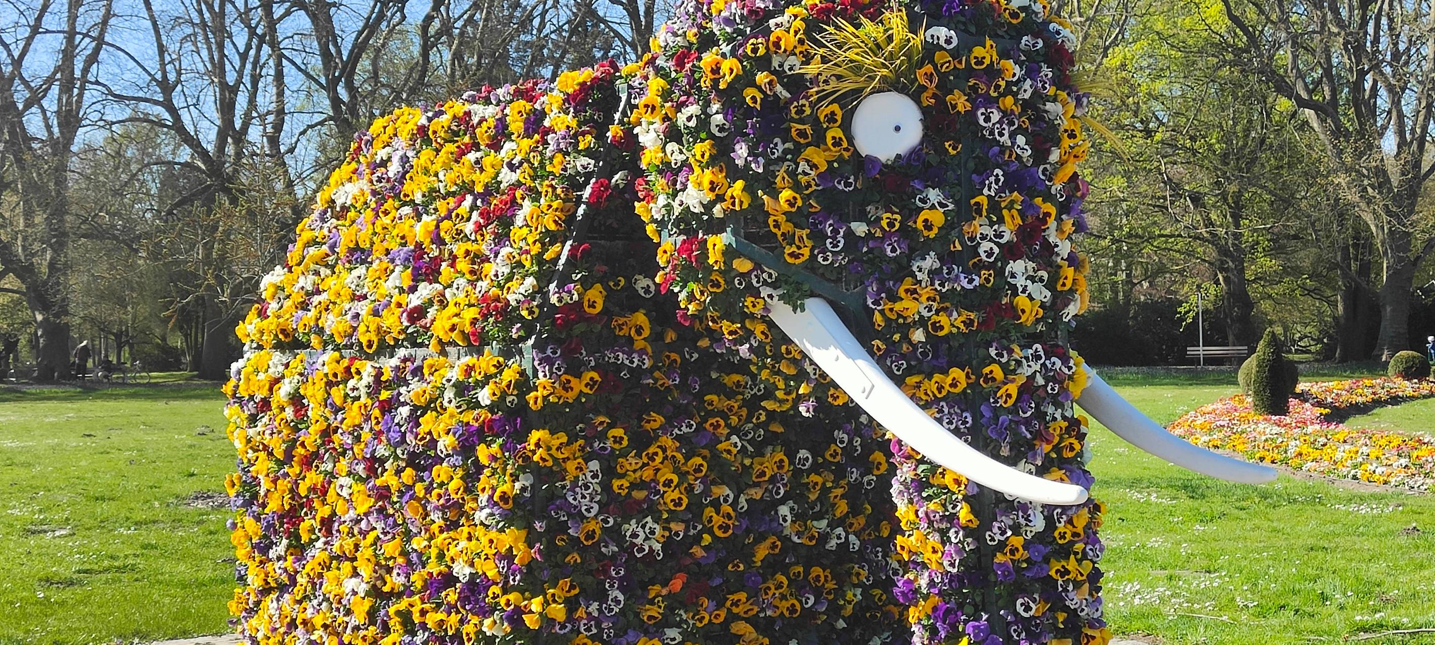 So schön ist Hamm - die besten Fotos aus unserer Stadt in 2022!