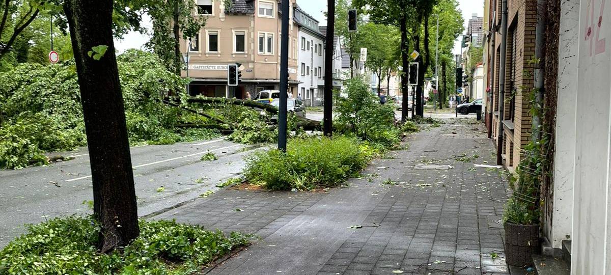 Sturm verwüstet Region um Hamm