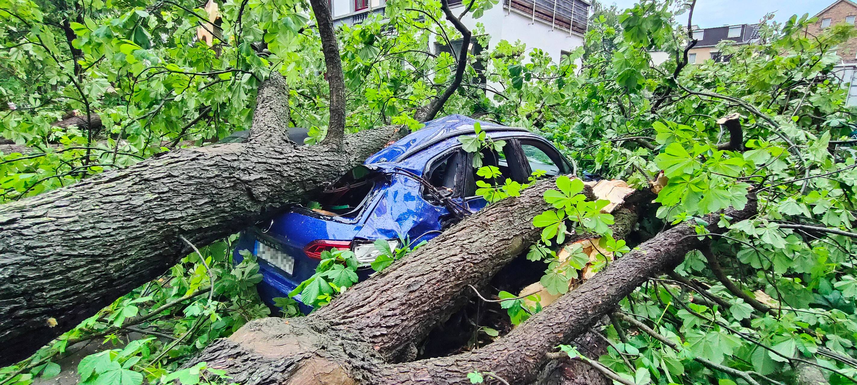 Sturm verwüstet Region um Hamm