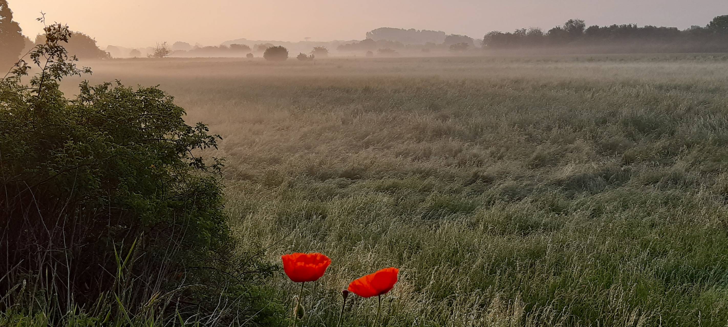 So schön ist Hamm - die besten Fotos aus unserer Stadt in 2022!