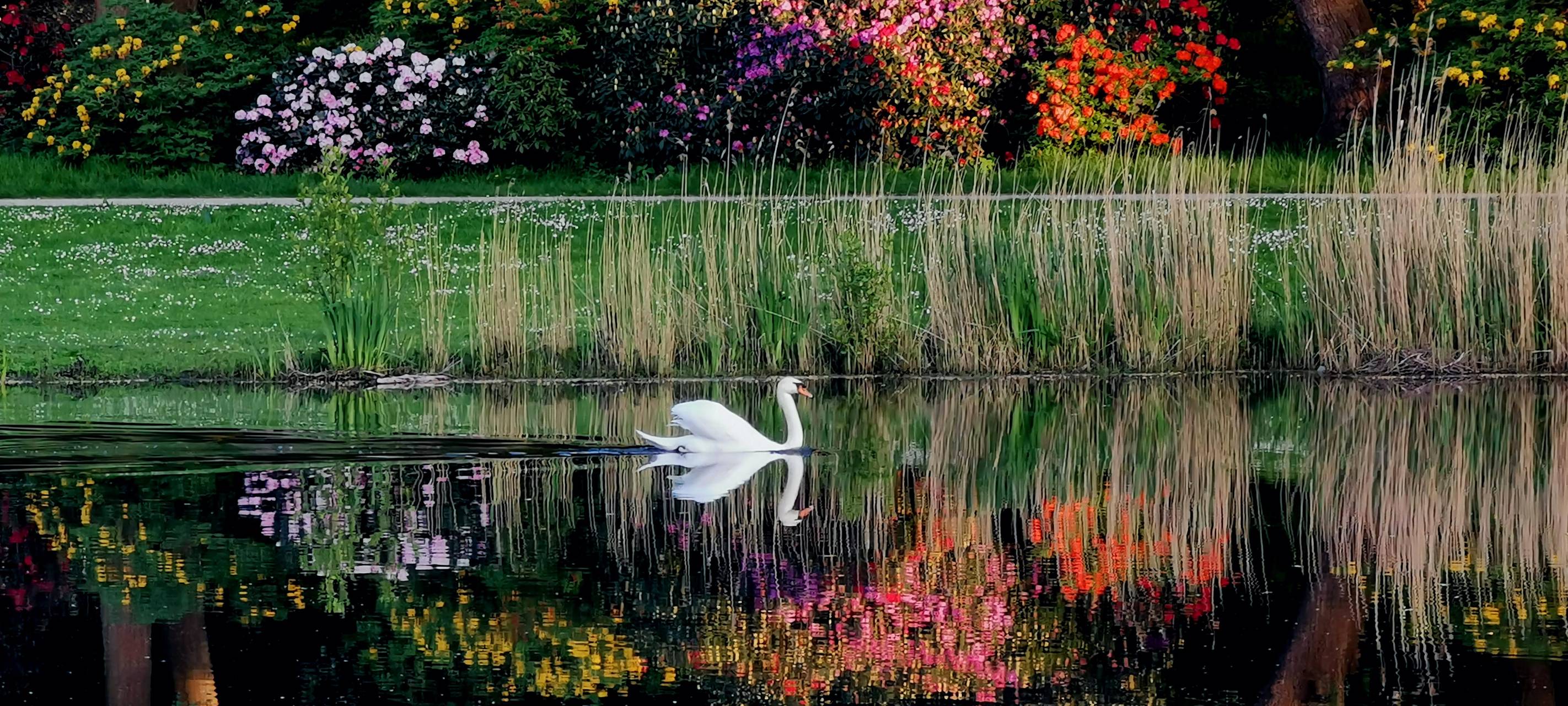 So schön ist Hamm - die besten Fotos aus unserer Stadt in 2022!